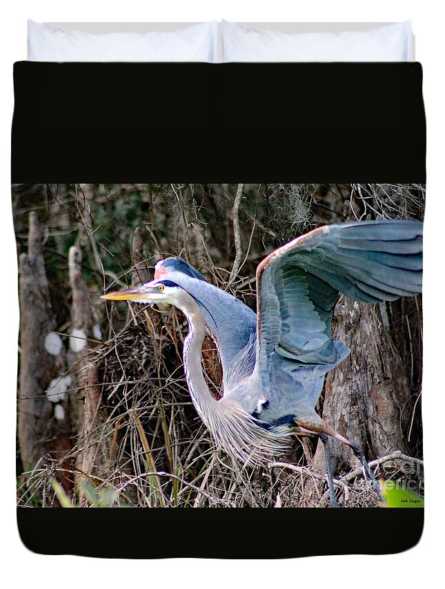 Nature Duvet Cover featuring the photograph Great Blue Heron - Signed by DB Hayes