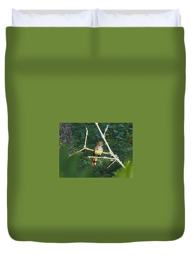 Great Crested Flycatcher Duvet Cover featuring the photograph Great Crested Flycatcher by Paula Ponath