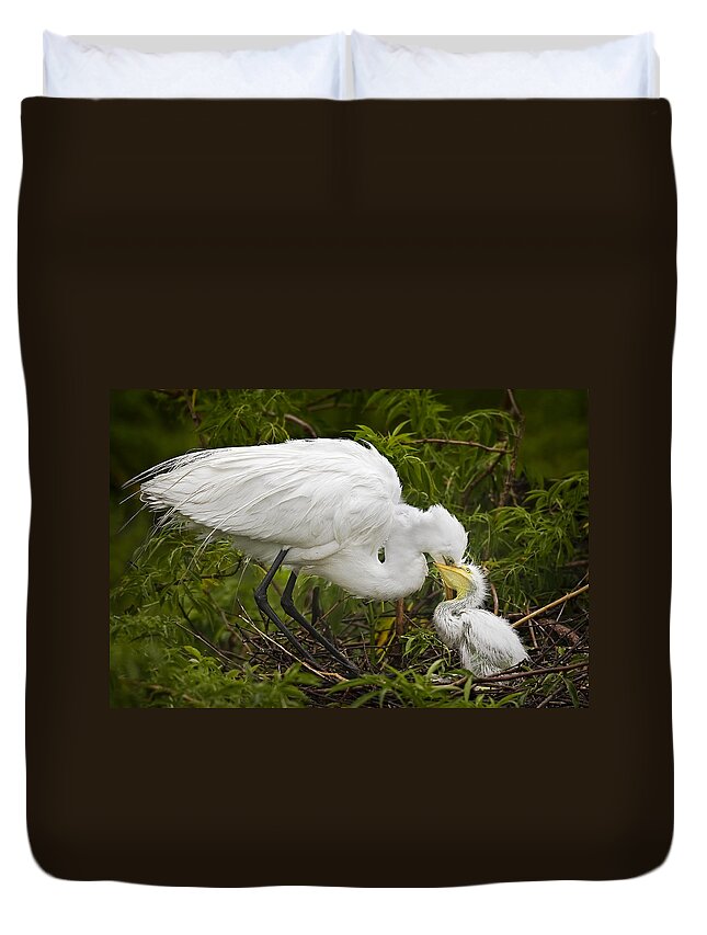 Egret Duvet Cover featuring the photograph Great Egret and Chick by Susan Candelario