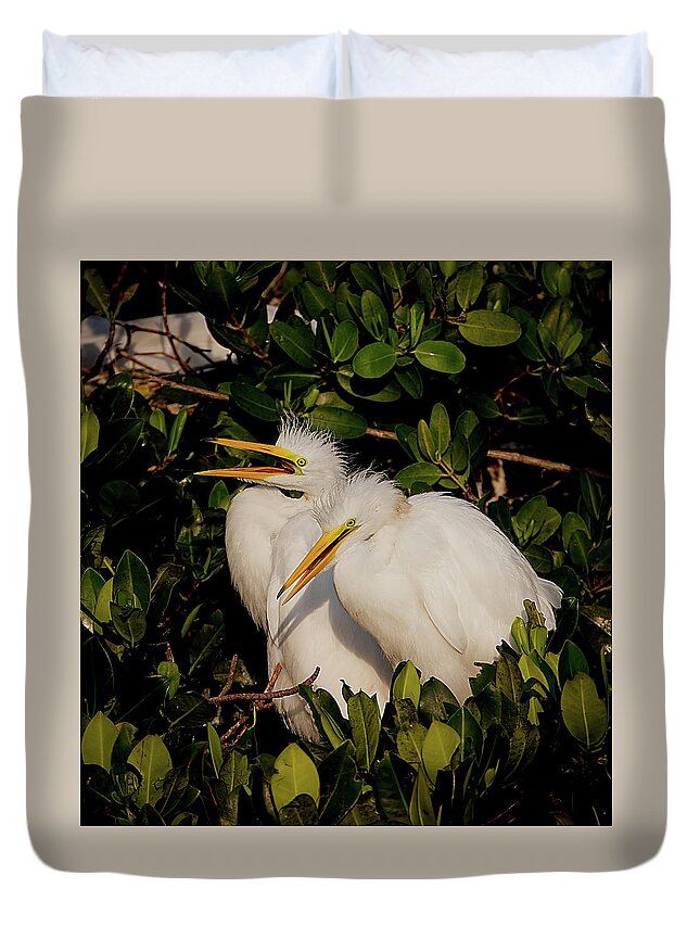 Bird Duvet Cover featuring the photograph Great Egret Chicks by Richard Goldman