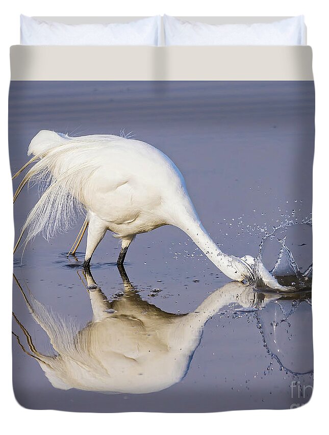 Egrets Duvet Cover featuring the photograph Great Egret Dipping For Food by DB Hayes