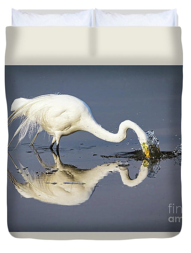 Egrets Duvet Cover featuring the photograph Great Egret Diving For Lunch by DB Hayes