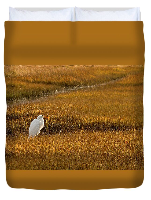 Great Egret Duvet Cover featuring the photograph Great Egret in Morning Light by Kristia Adams