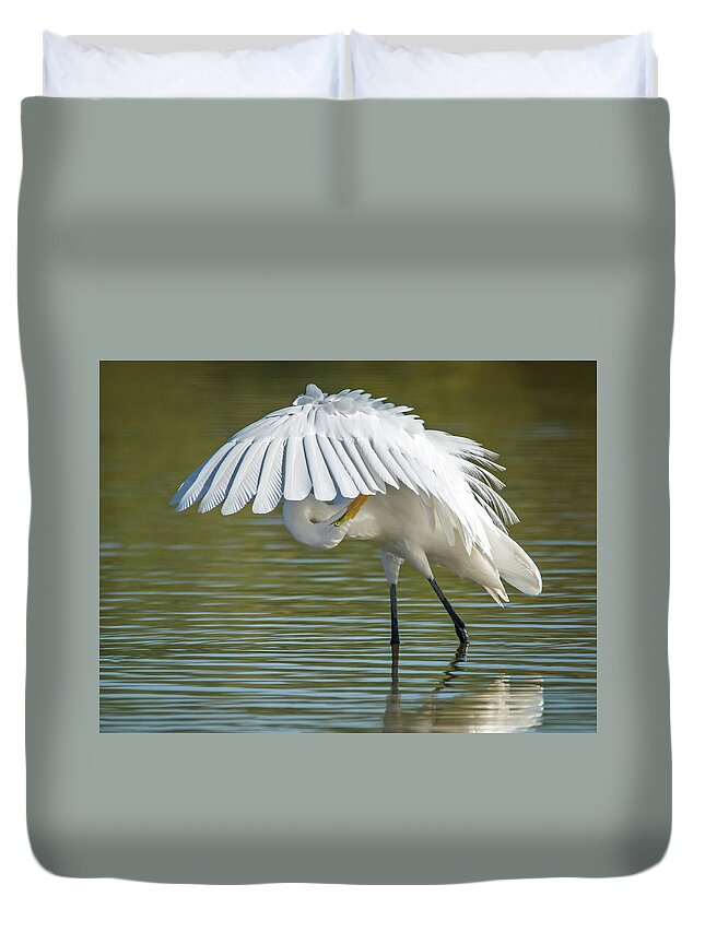 Great Duvet Cover featuring the photograph Great Egret Preening 8821-102317-2 by Tam Ryan