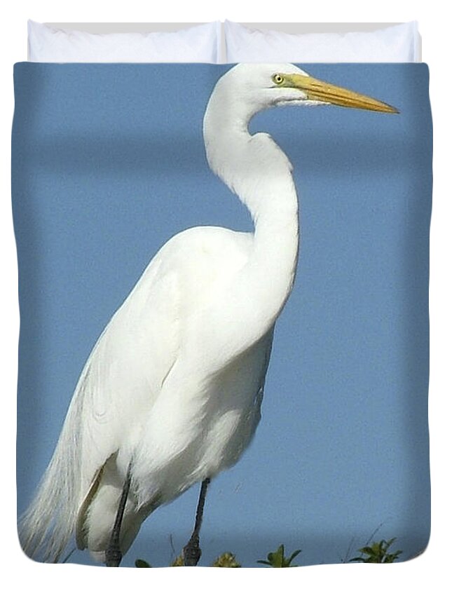 Great Egret Duvet Cover featuring the photograph Great Egret Profile by William Bitman