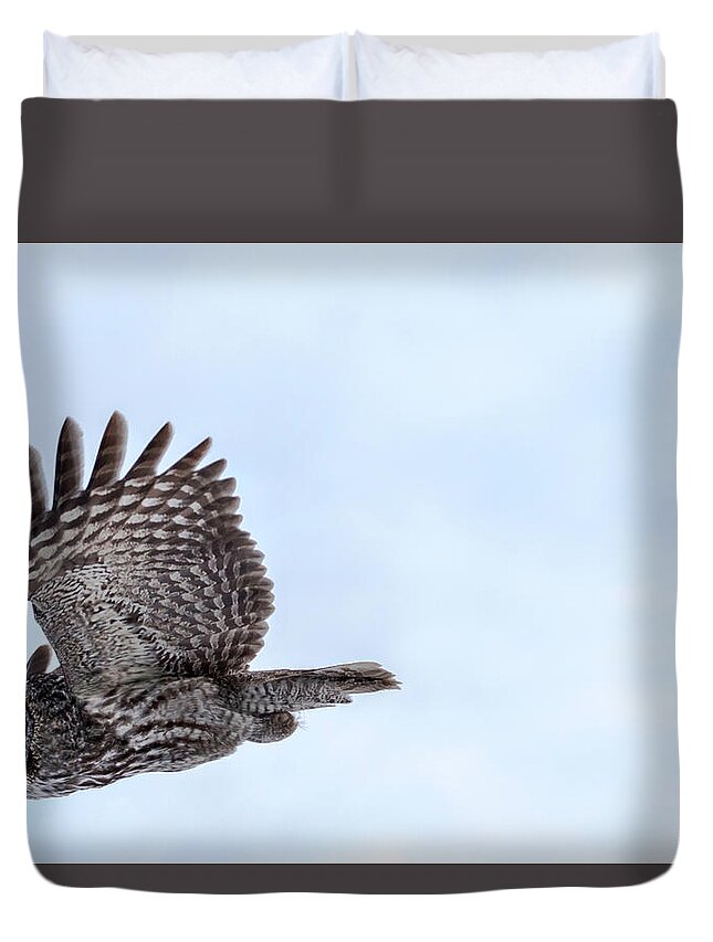 Bird Duvet Cover featuring the photograph Great Gray Owl in Flight by Brook Burling