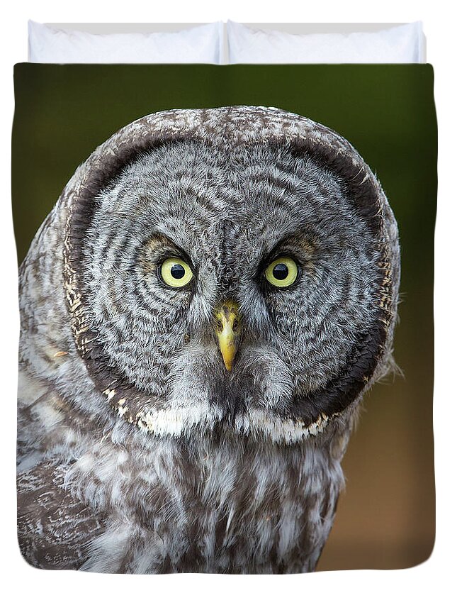 Great Gray Owl Duvet Cover featuring the photograph Great Gray Owl Portrait by Max Waugh