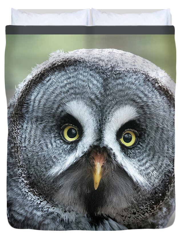 Owl Duvet Cover featuring the photograph Great Grey owl closeup by Jane Rix