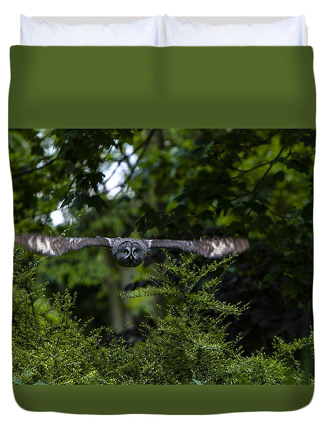 Great Grey Owl Duvet Cover featuring the photograph Great Grey Owl in Flight by Andy Myatt