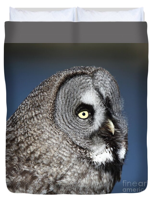 Great Grey Owl Duvet Cover featuring the photograph Great Grey Owl by Maria Gaellman