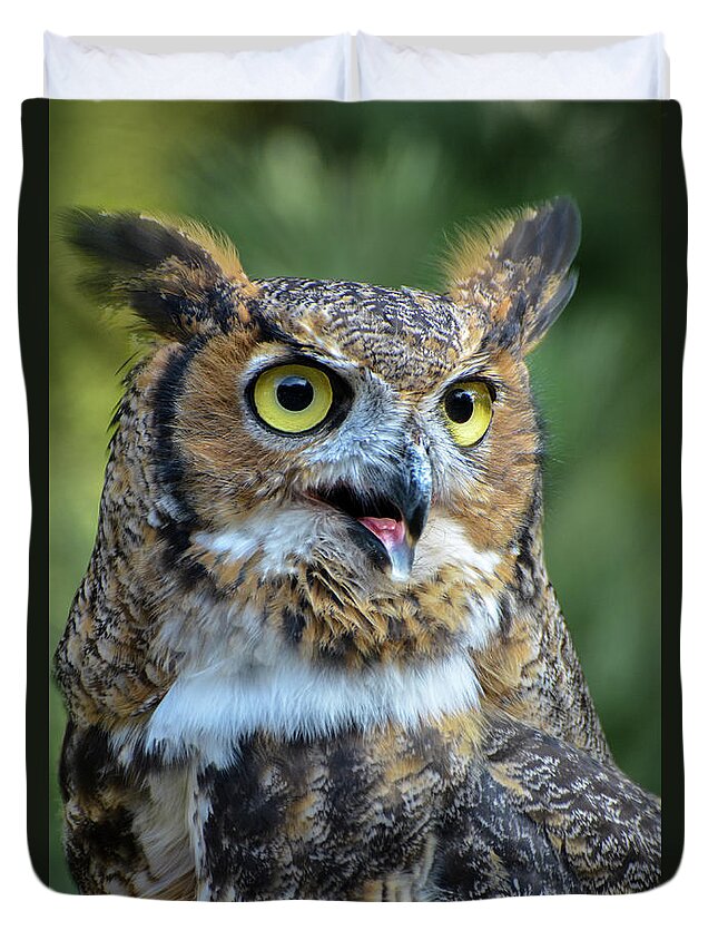 Great Horned Owl Duvet Cover featuring the photograph Great Horned Owl Smiling by Amy Porter