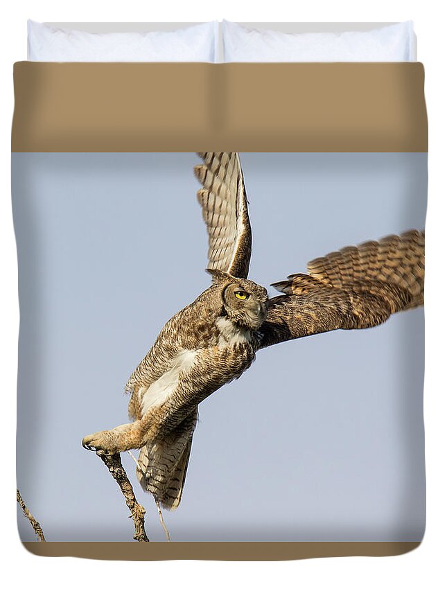Owl Duvet Cover featuring the photograph Great Horned Owl Spreads Its Wings by Tony Hake
