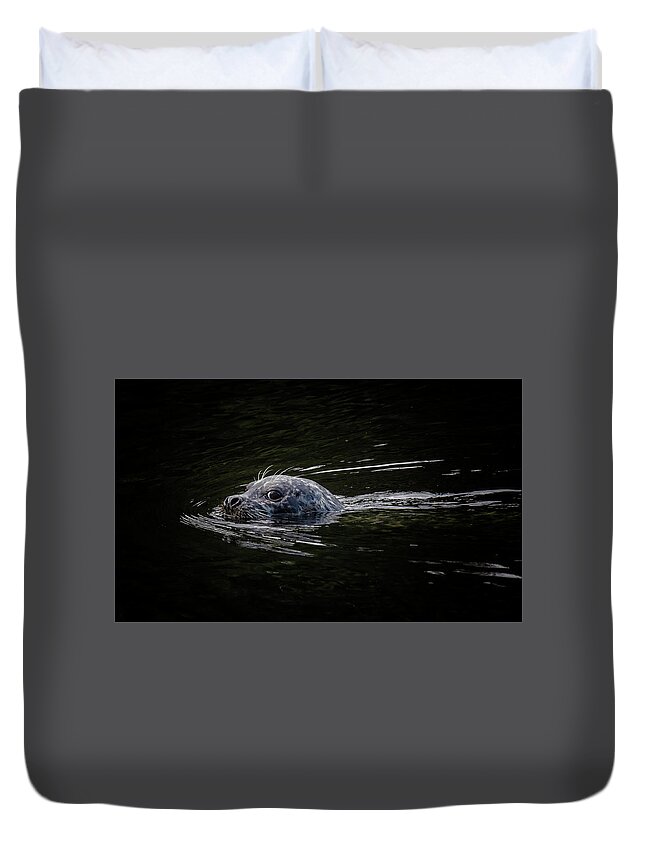 Harbour Seal Duvet Cover featuring the photograph Great Lashes by Randy Hall