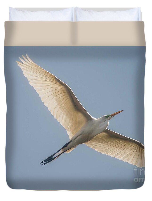 White Egret Duvet Cover featuring the photograph Great White Egret by David Bearden