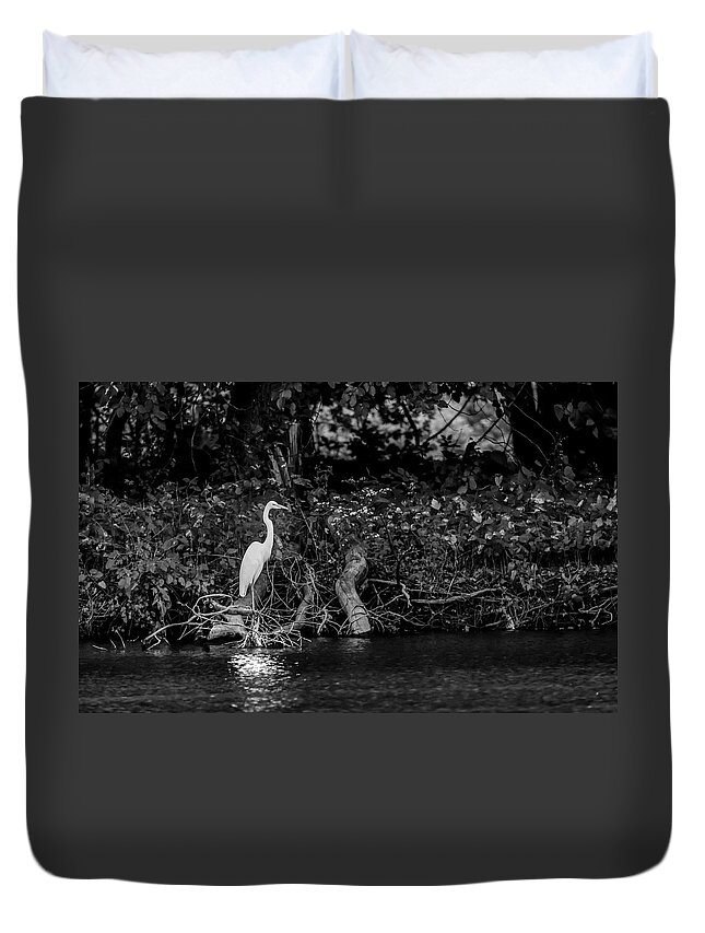 Great White Heron Duvet Cover featuring the photograph Great White Heron by Ray Congrove