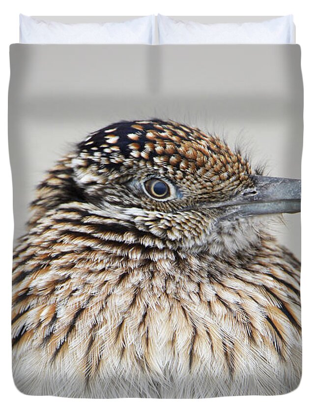 Denise Bruchman Duvet Cover featuring the photograph Greater Roadrunner by Denise Bruchman