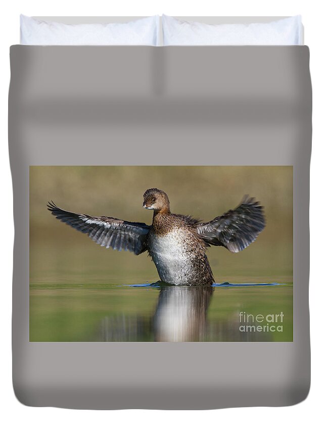 Grebe Duvet Cover featuring the photograph Grebe flap by Bryan Keil