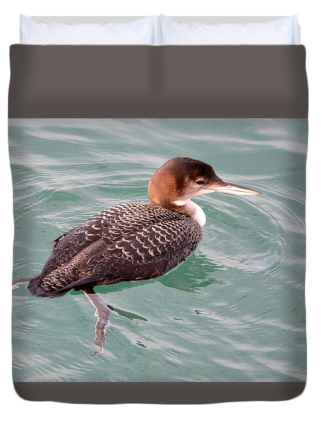 Bird Duvet Cover featuring the photograph Grebe in the Water by AJ Schibig