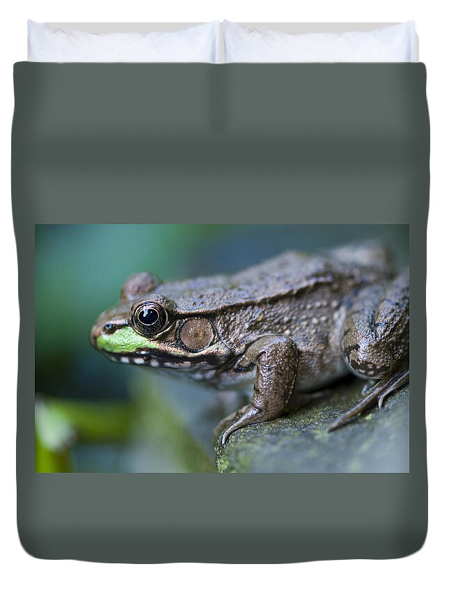 Day Duvet Cover featuring the photograph Green frog by Brian Green