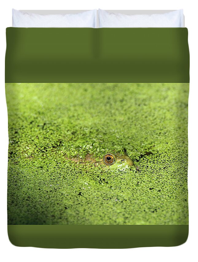 Green Frog Duvet Cover featuring the photograph Green Frog Stony Brook New York by Bob Savage