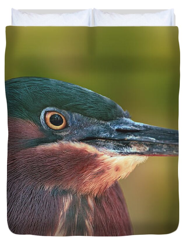 Animal Duvet Cover featuring the photograph Green Heron by Brian Cross