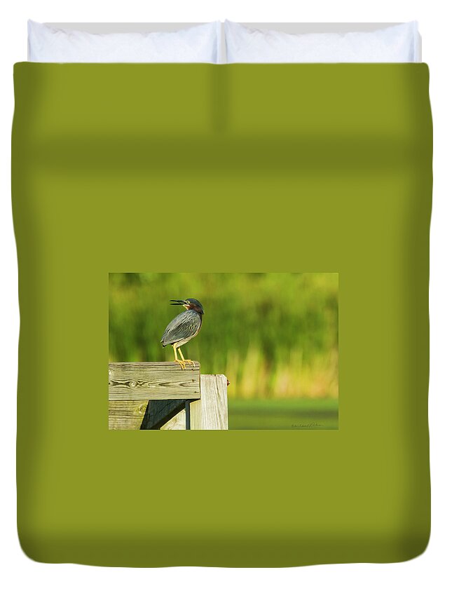 Green Heron Duvet Cover featuring the photograph Green Heron On The Corner by Ed Peterson