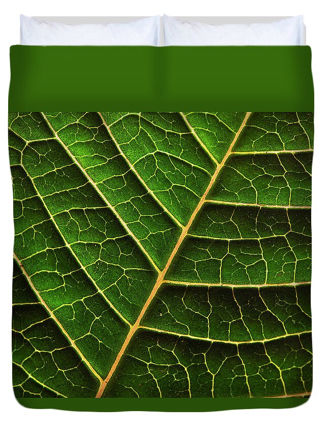 Green Duvet Cover featuring the photograph Green Leaf Macro by Morgan Wright