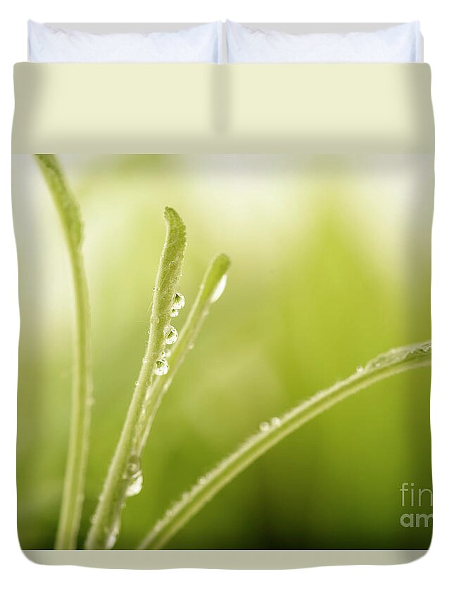 Plant Duvet Cover featuring the photograph Green plant with water drops by Jelena Jovanovic