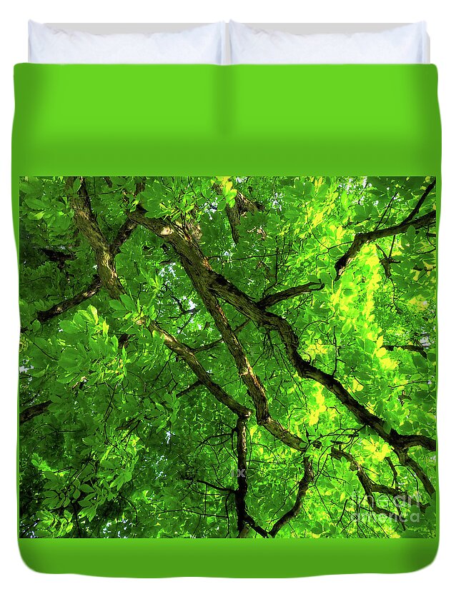 Tree Duvet Cover featuring the photograph Green Tree HDR by Raymond Earley