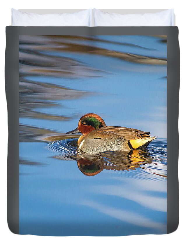 Mark Miller Photos Duvet Cover featuring the photograph Green-winged Teal in pretty water by Mark Miller