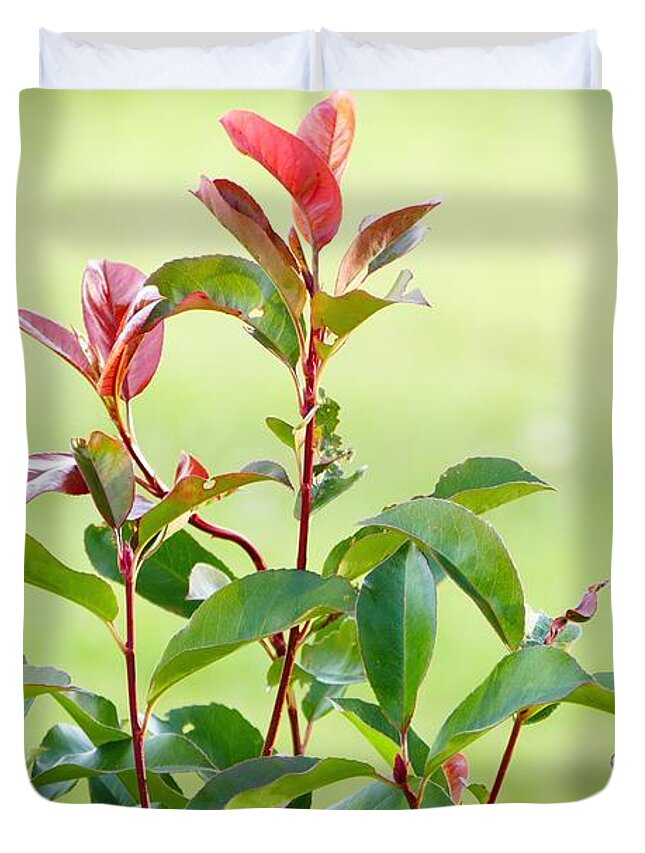 Photography Duvet Cover featuring the photograph Greenery and red by Ivana Westin
