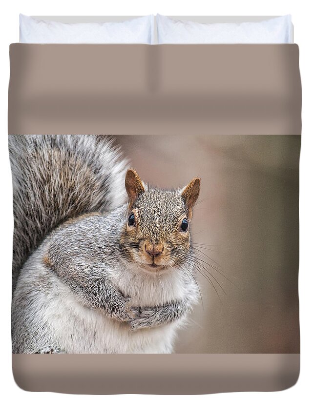 Squirrel Duvet Cover featuring the photograph Greetings by Cathy Kovarik