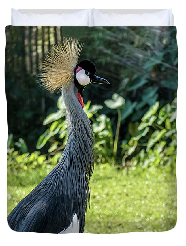 Gulf Duvet Cover featuring the photograph Grey Crowned Crane Gulf Shores Al 2023 by Ricardos Creations