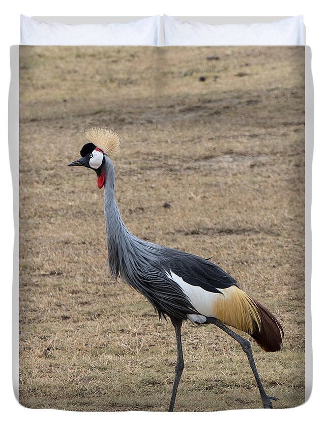 Cranes Duvet Cover featuring the photograph Grey Crowned Crane in the Wild by Pravine Chester