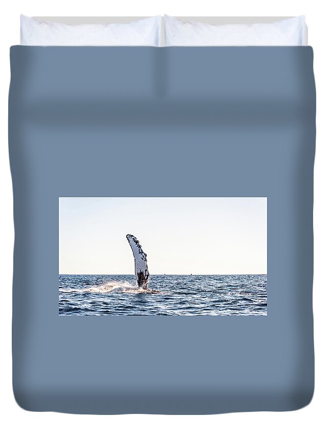 Grey Whale Duvet Cover featuring the photograph Grey Whale Fin Gulf of Mexico by Charles McCleanon