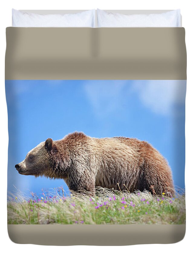 Mark Miller Photos Duvet Cover featuring the photograph Grizzly and Blue Sky by Mark Miller