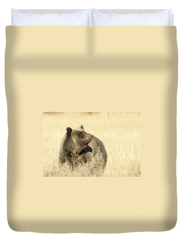 Grizzly Duvet Cover featuring the photograph Grizzly Bear by Gary Beeler