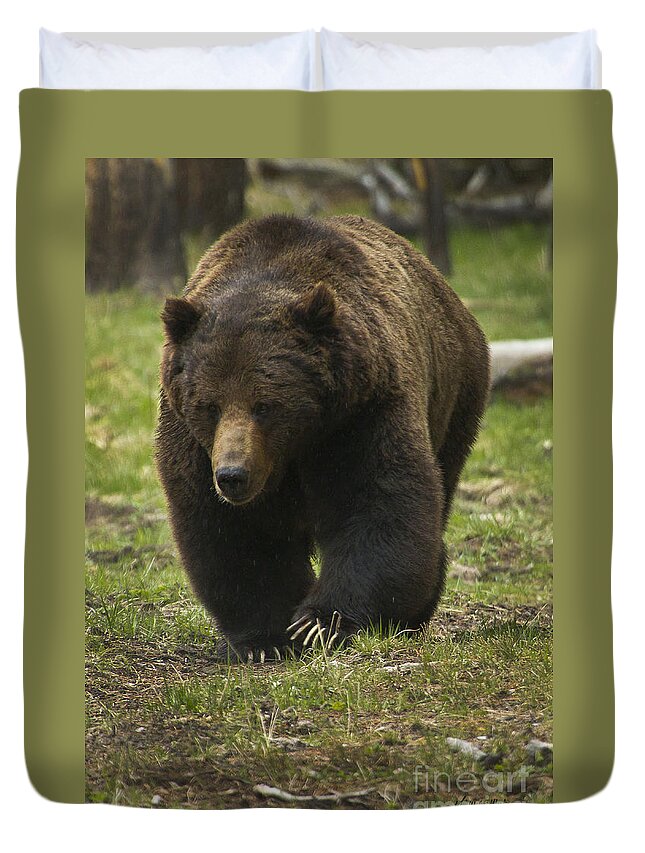 Bear Duvet Cover featuring the photograph Grizzly Boar-Signed-#7914 by J L Woody Wooden