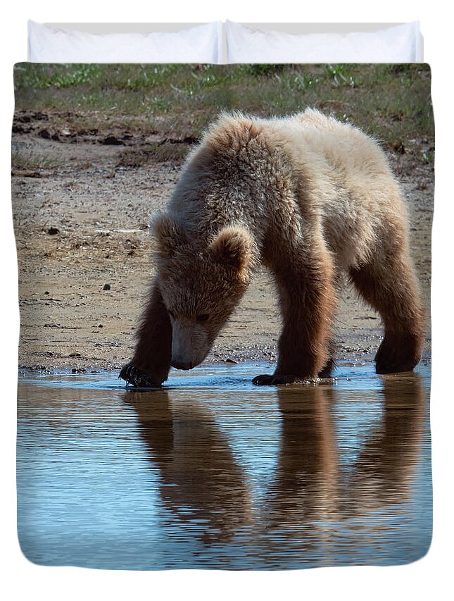 Wildlife Duvet Cover featuring the digital art Grizzly Cub Drinking from Stream In Katmai National Park by OLena Art by Lena Owens - Vibrant Design