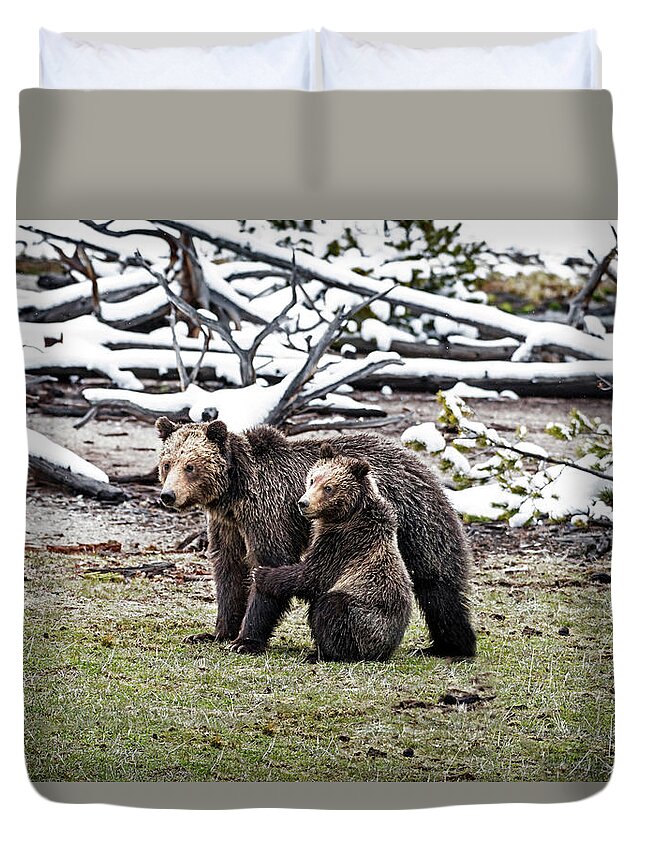 Bears Duvet Cover featuring the photograph Grizzly Cub Holding Mother by Scott Read