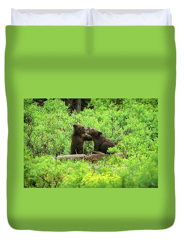 Grizzly Duvet Cover featuring the photograph Grizzly Cubs At Play by Greg Norrell