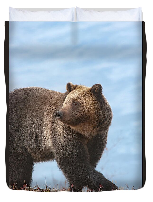 Mark Miller Photos Duvet Cover featuring the photograph Grizzly's Attention by Mark Miller
