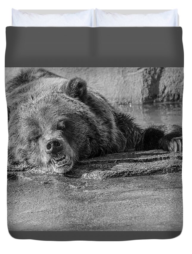 Grouchy Bear Duvet Cover featuring the photograph Grouchy Bear - Black and White by Susan McMenamin