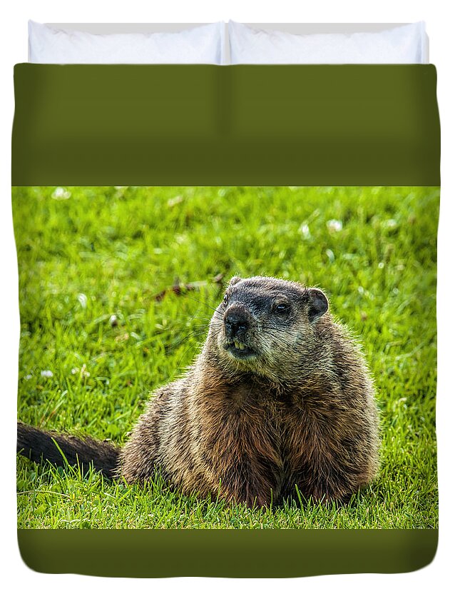 Mammal Duvet Cover featuring the photograph Ground Hog by Cathy Kovarik