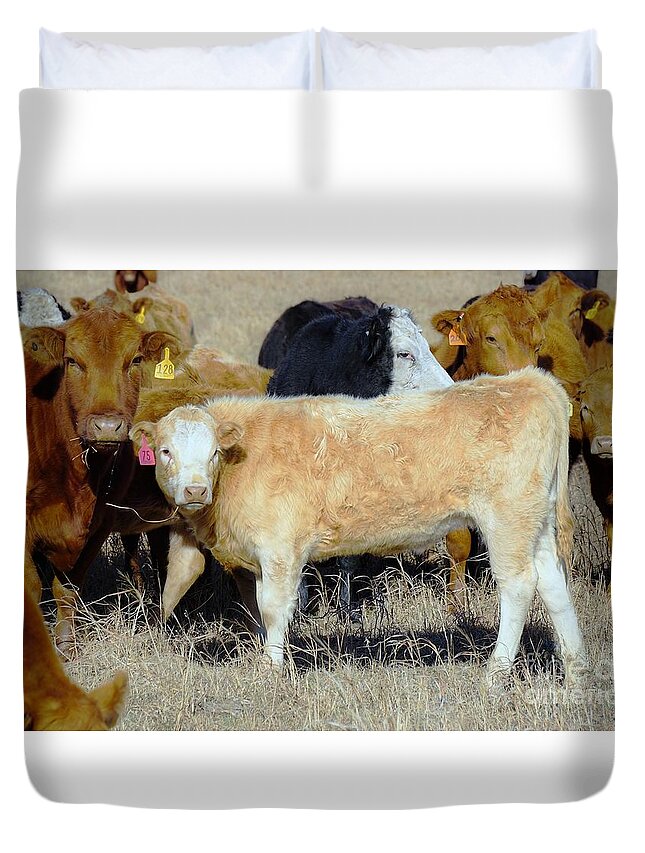Calf Duvet Cover featuring the photograph Growing up by Merle Grenz