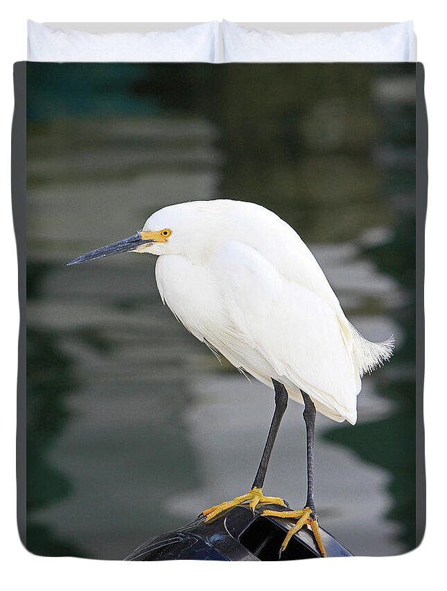 Egret Duvet Cover featuring the photograph Gru? by Shoal Hollingsworth