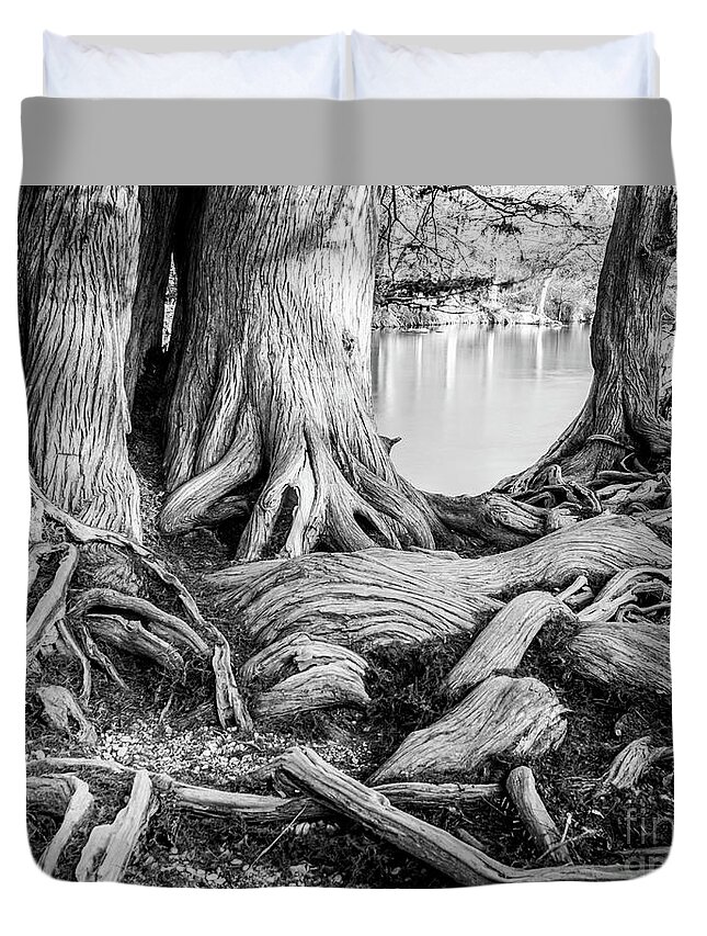 Michael Tidwell Mike Tidwell Guadalupe Bald Cypress In Black And White Duvet Cover featuring the photograph Guadalupe Bald Cypress in Black and White by Michael Tidwell