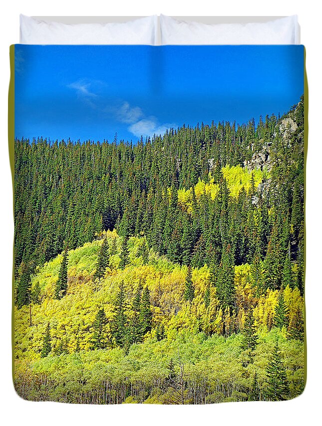 Guanella Pass Duvet Cover featuring the photograph Guanella Pass Study 2 by Robert Meyers-Lussier