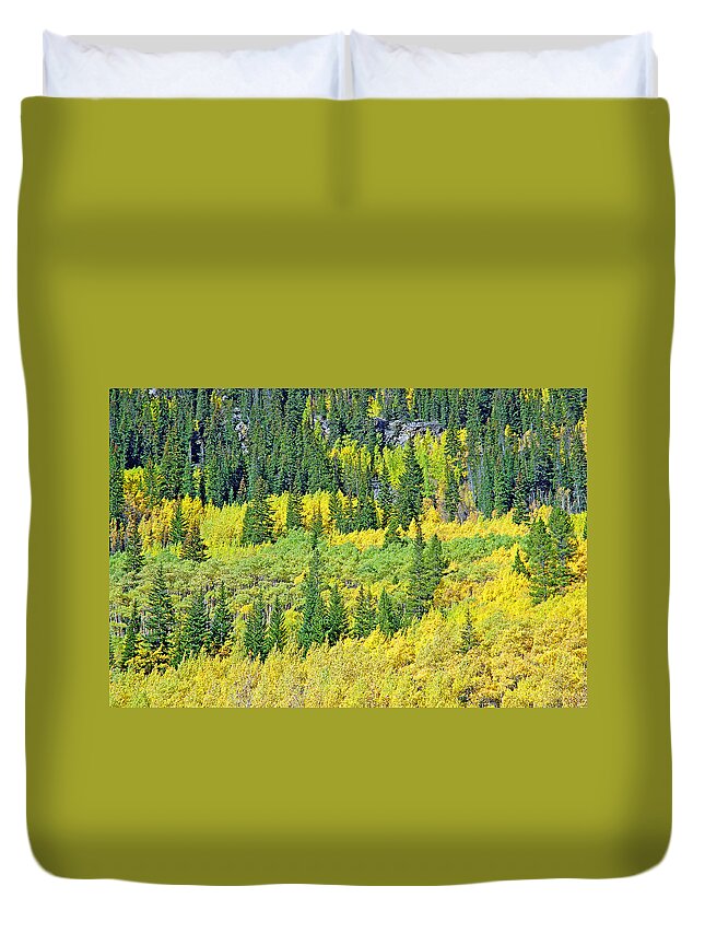 Guanella Pass Duvet Cover featuring the photograph Guanella Pass Study 3 by Robert Meyers-Lussier