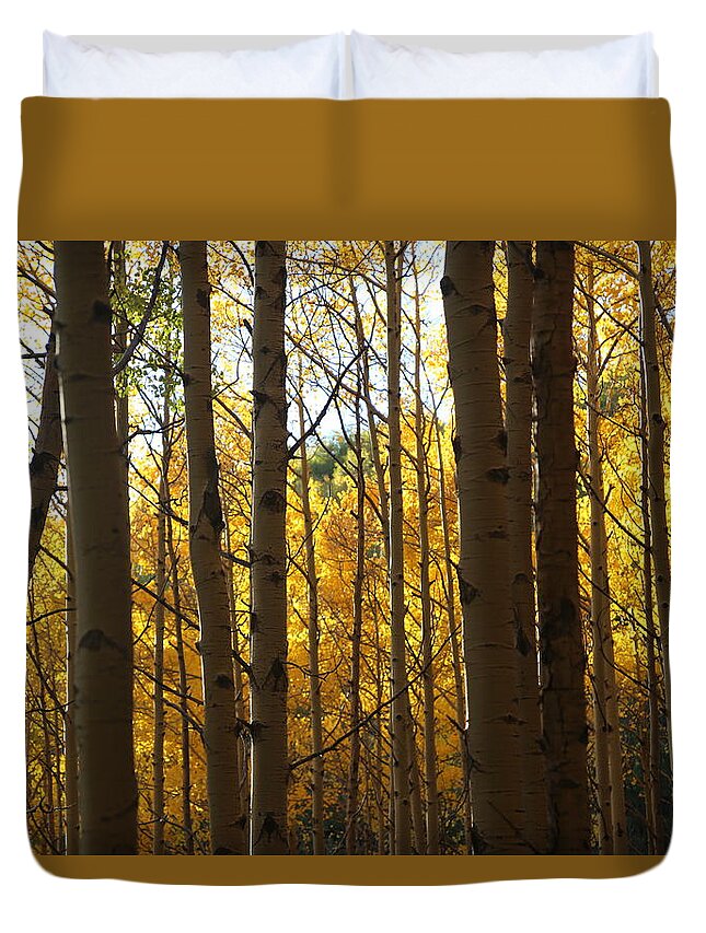 Aspen Foliage Duvet Cover featuring the photograph Guarding the Gold by Tammy Pool